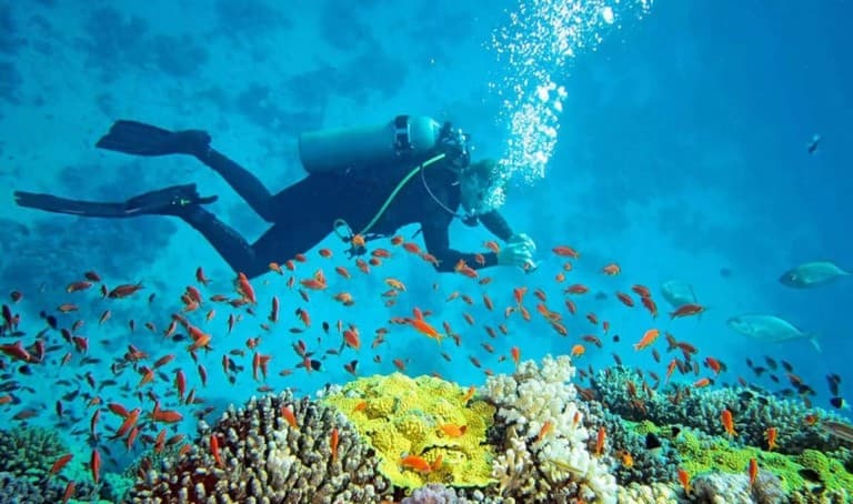 Andaman Scuba Diving & Adventure Package