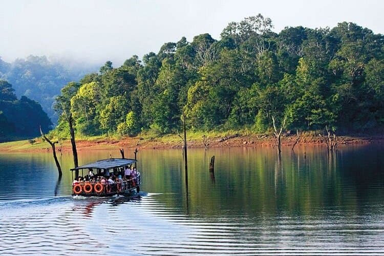 Thekkady Periyar Wildlife Tour