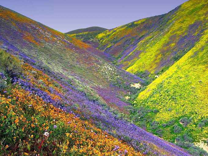 Valley of Flowers Trek Package